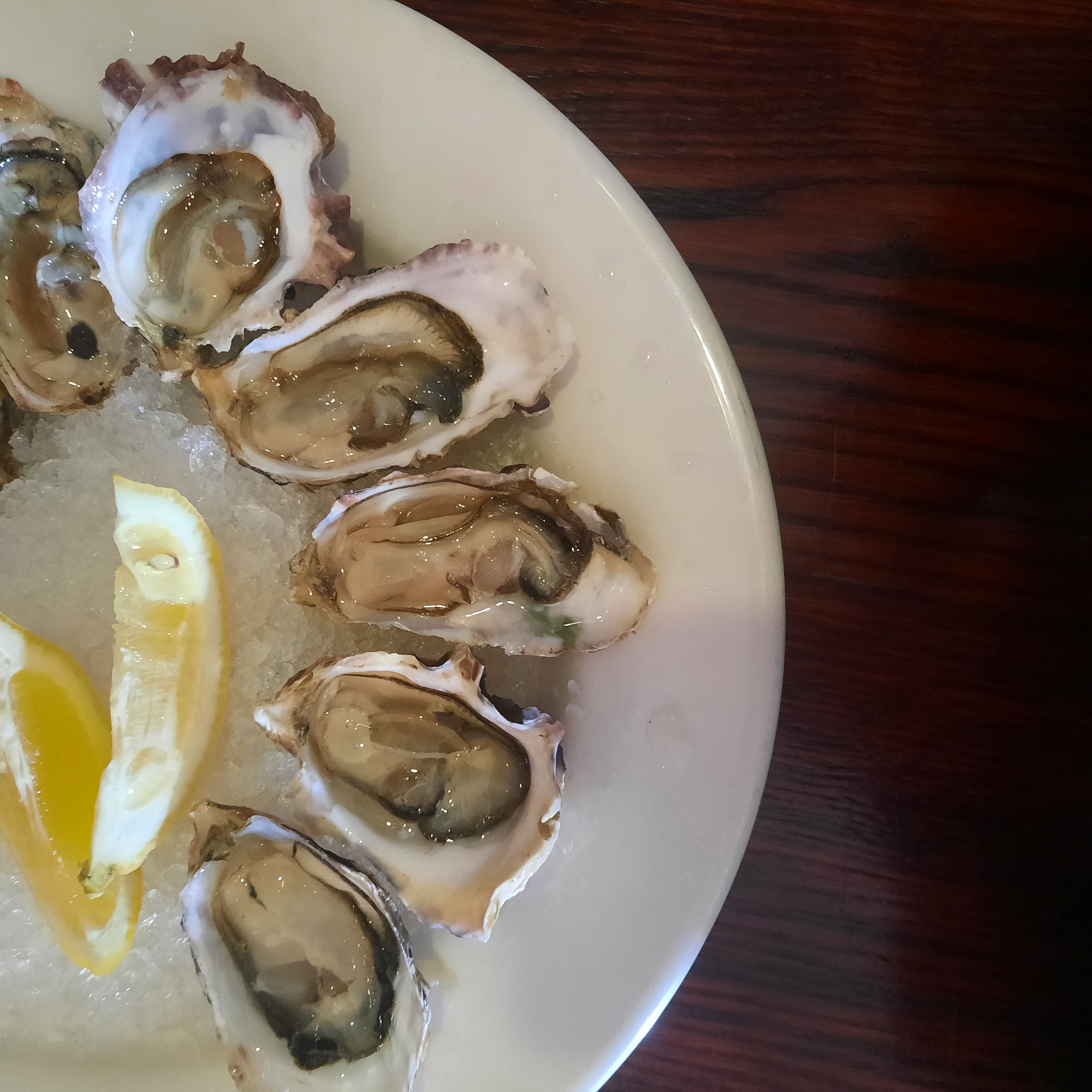 Header image of Embarcadero Wine & Oyster Bar